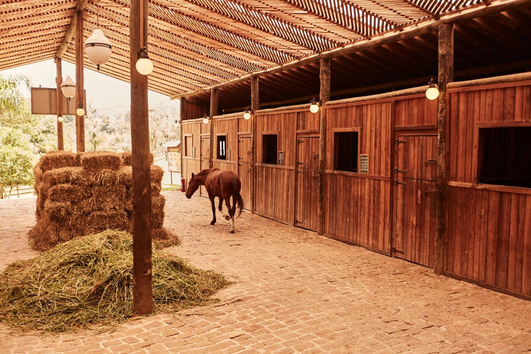 Hotel Fazenda Morros Verdes Ecolodge Ibiúna Zewnętrze zdjęcie